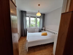 Obiekt 287,00 m², Puszcza Mariańska, Sprzedaż