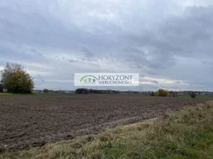 Działka 3 367,00 m², Banino, Sprzedaż