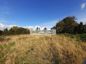 Działka 2 658,00 m², Czaple, Sprzedaż