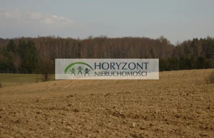 Działka 12 165,00 m², Grabowska Huta, Sprzedaż