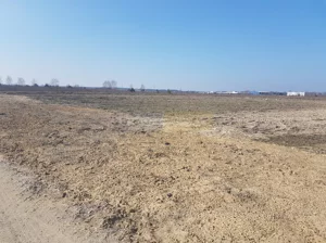 Działka 4 500,00 m², Cząstków Mazowiecki, Sprzedaż