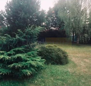 Działka 684,00 m², Dąbrowa, Sprzedaż