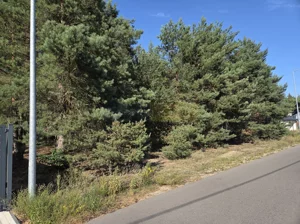 Działka 3 020,00 m², Izabelin-Dziekanówek, Sprzedaż