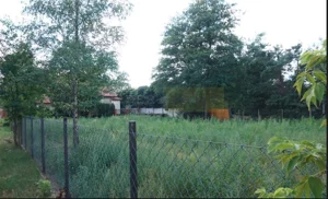 Działka 1 200,00 m², Izabelin-Dziekanówek, Sprzedaż