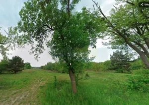 Działka 8 900,00 m², Sadowa, Sprzedaż