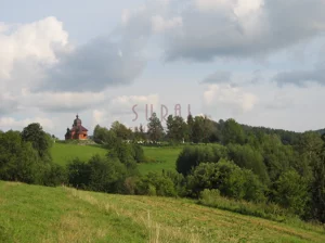 Działka 110 000,00 m², Komańcza, Bieszczady/siedlisko/gmina Komańcza, Sprzedaż