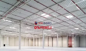 Magazyn 5 500,00 m², Kobyłka, Wynajem