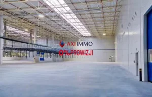 Magazyn 15 000,00 m², Nowa Sól, Wynajem