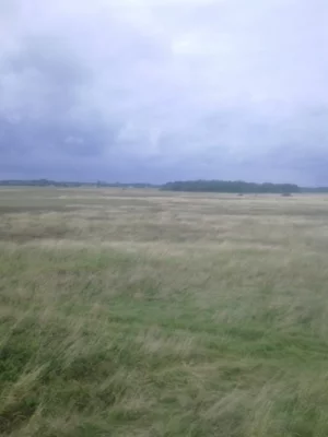 Działka 3 000,00 m², Barzowice, Sprzedaż