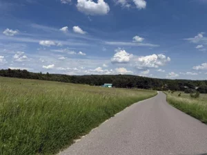 Działka 38 766,00 m², Grabowa, Sprzedaż