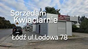Lokal użytkowy 50,00 m², Łódź, Widzew, Sprzedaż