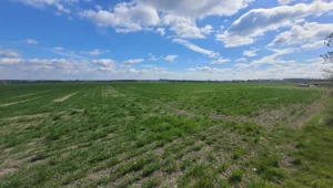Działka 15 800,00 m², Opole, Gosławice, Sprzedaż
