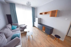 Mieszkanie dwupokojowe 42,00 m², Opole, Wynajem