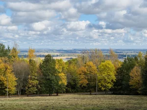 Działka 18 046,00 m², Sobótka, Armii Krajowej, Sprzedaż