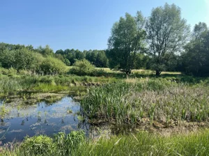 Działka 47 925,00 m², Jabłonka Stara, Sprzedaż