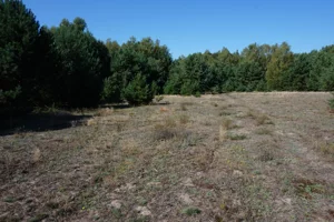 Działka 1 924,00 m², Janiszów, Sprzedaż