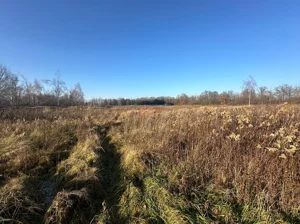 Działka 1 190,00 m², Żurawiniec, Kasztanowa, Sprzedaż