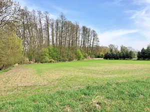 Działka 3 287,00 m², Raków, Sprzedaż