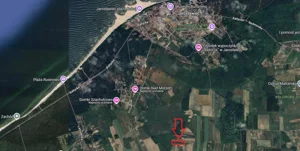 Działka 11 130,00 m², Rusinowo, Sprzedaż