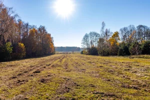 Działka 5 150,00 m², Stare Krasnodęby, Sprzedaż