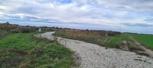 Działka 1 000,00 m², Wojnowice, Sprzedaż
