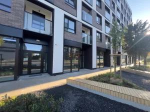 Lokal użytkowy 85,00 m², Wrocław, Stare Miasto, Braniborska, Wynajem