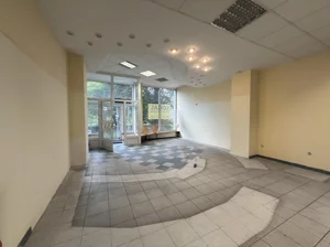 Lokal użytkowy 116,60 m², Wrocław, Biskupin-Sępolno-Dąbie-Bartoszowice, Śródmieście, Bujwida Odona, Sprzedaż