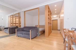 Mieszkanie jednopokojowe 33,36 m², Kraków, Stare Miasto, Szpitalna, Wynajem