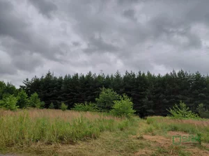 Działka 15 648,00 m², Mysłowice, Aleja Spacerowa i ul. Zacisze, Sprzedaż