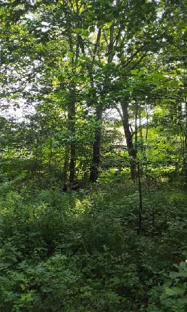 Działka 898,00 m², Bielsko-Biała, Sprzedaż