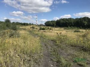 Działka 248 822,00 m², Wodzisław Śląski, Czarnieckiego, Sprzedaż