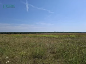 Działka 470 610,00 m², Gierałtowice, Kłodnicka, Sprzedaż