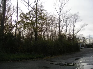 Działka 2 505,00 m², Zabrze, Koksownicza, Sprzedaż