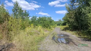 Działka 44 116,00 m², Sosnowiec, Kazimierz Górniczy, Kopalniana, Sprzedaż
