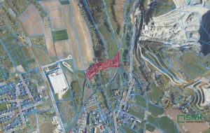 Działka 11 894,00 m², Nowa Ruda, Słupiecka, Sprzedaż