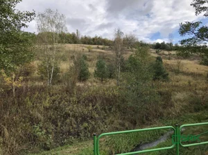 Działka 28 610,00 m², Jankowice, Świerklańska, Sprzedaż