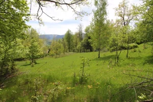 Działka 2 719,00 m², Szklarska Poręba, Sprzedaż