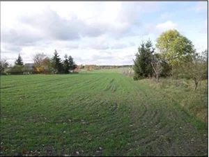 Działka 5 820,00 m², Trzebów, Sprzedaż