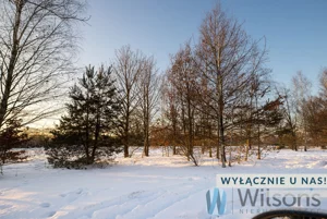 Działka 1 131,00 m², Augustówek, Sprzedaż