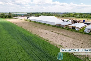 Działka 10 379,00 m², Dawidy, Sprzedaż