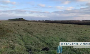 Działka 10 021,00 m², Nowa Wola, Sprzedaż