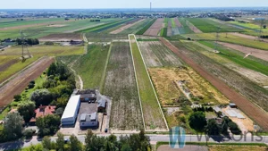 Działka 11 913,00 m², Pogroszew, Nowowiejska, Sprzedaż