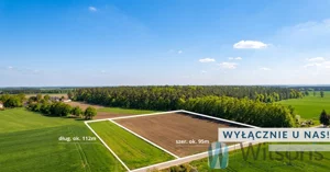 Działka 11 021,00 m², Śniadowo, Sprzedaż