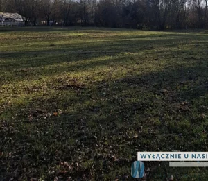 Działka 20 000,00 m², Tomaszówka, Sprzedaż