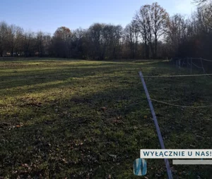 Działka 5 433,00 m², Tomaszówka, Sprzedaż