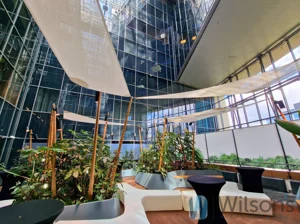 Biuro 1 114,00 m², Warszawa, Śródmieście, Bonifraterska, Wynajem
