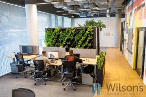 Biuro 20,00 m², Gdańsk, Śródmieście, Jana Z Kolna, Wynajem