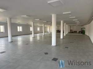 Lokal użytkowy 549,00 m², Milejowice, Jaworowa, Wynajem