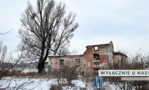 Obiekt 215,00 m², Poniatowo, Parkowa, Sprzedaż