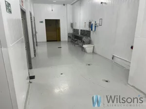 Obiekt 2 000,00 m², Nowe Lipiny, Szosa Jadowska, Wynajem